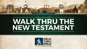 Walk Thru the New Testament @ Lower Hall